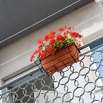 Il Cortile House *